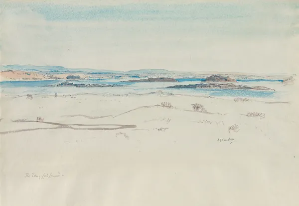 Isles of Loch Lomond av David Young Cameron